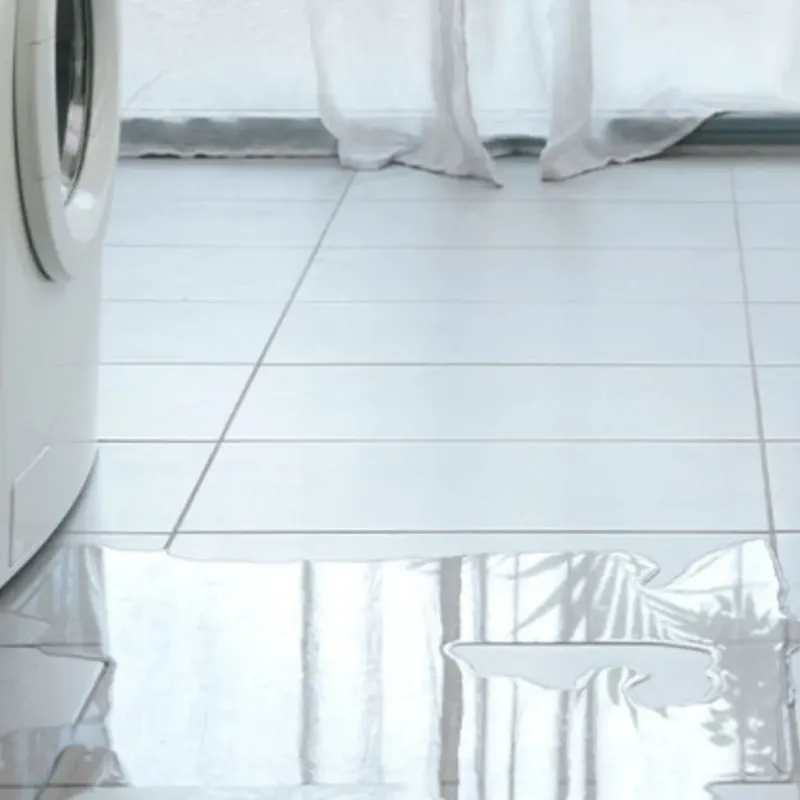 Appliance Leak Cleanup in Prestbury, IL