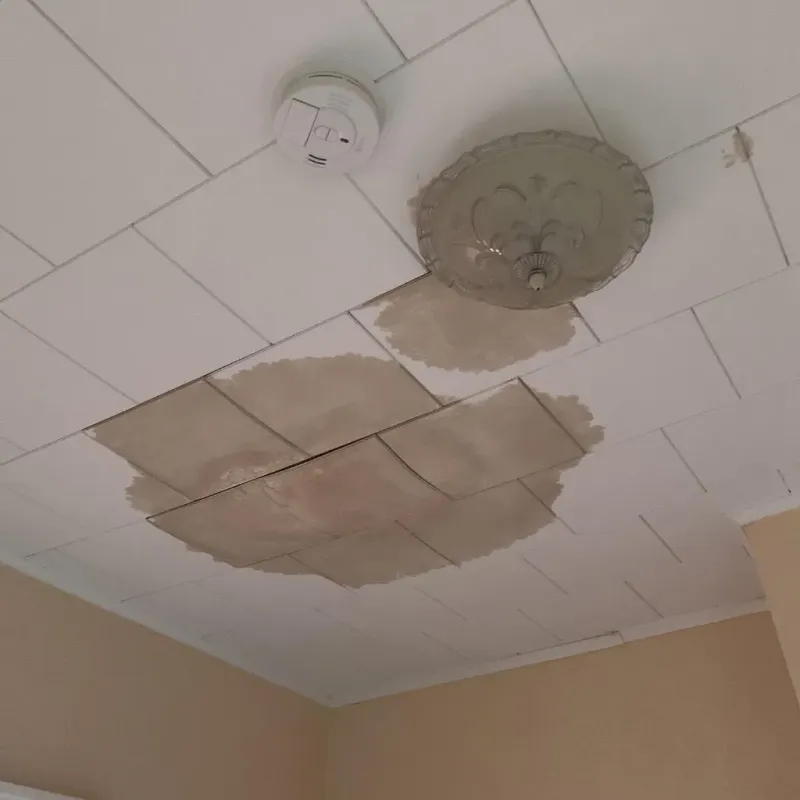 Ceiling Water Damage Repair in Prestbury, IL
